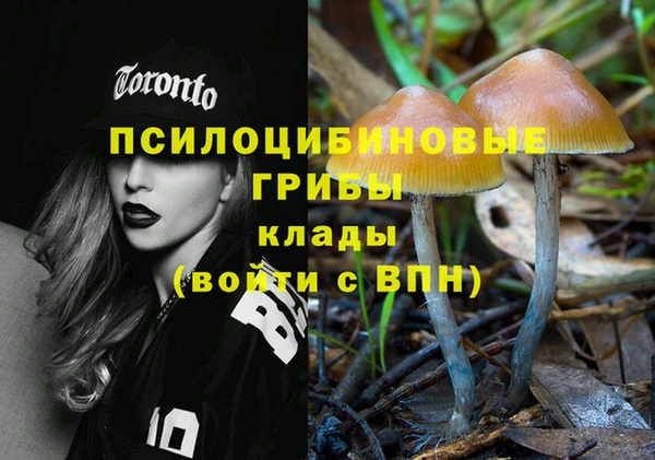 бошки Березники