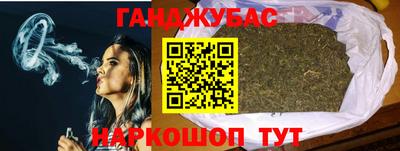 шишки Камышлов