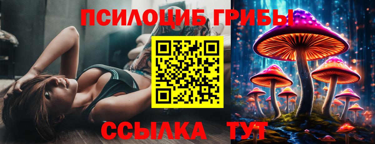 Майкоп  Галлюциногенные грибы Psilocybine cubensis  Вход с VPN 